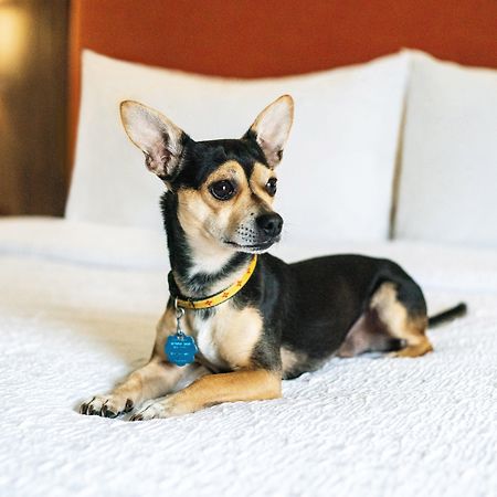 Hampton Inn Lexington South Zewnętrze zdjęcie