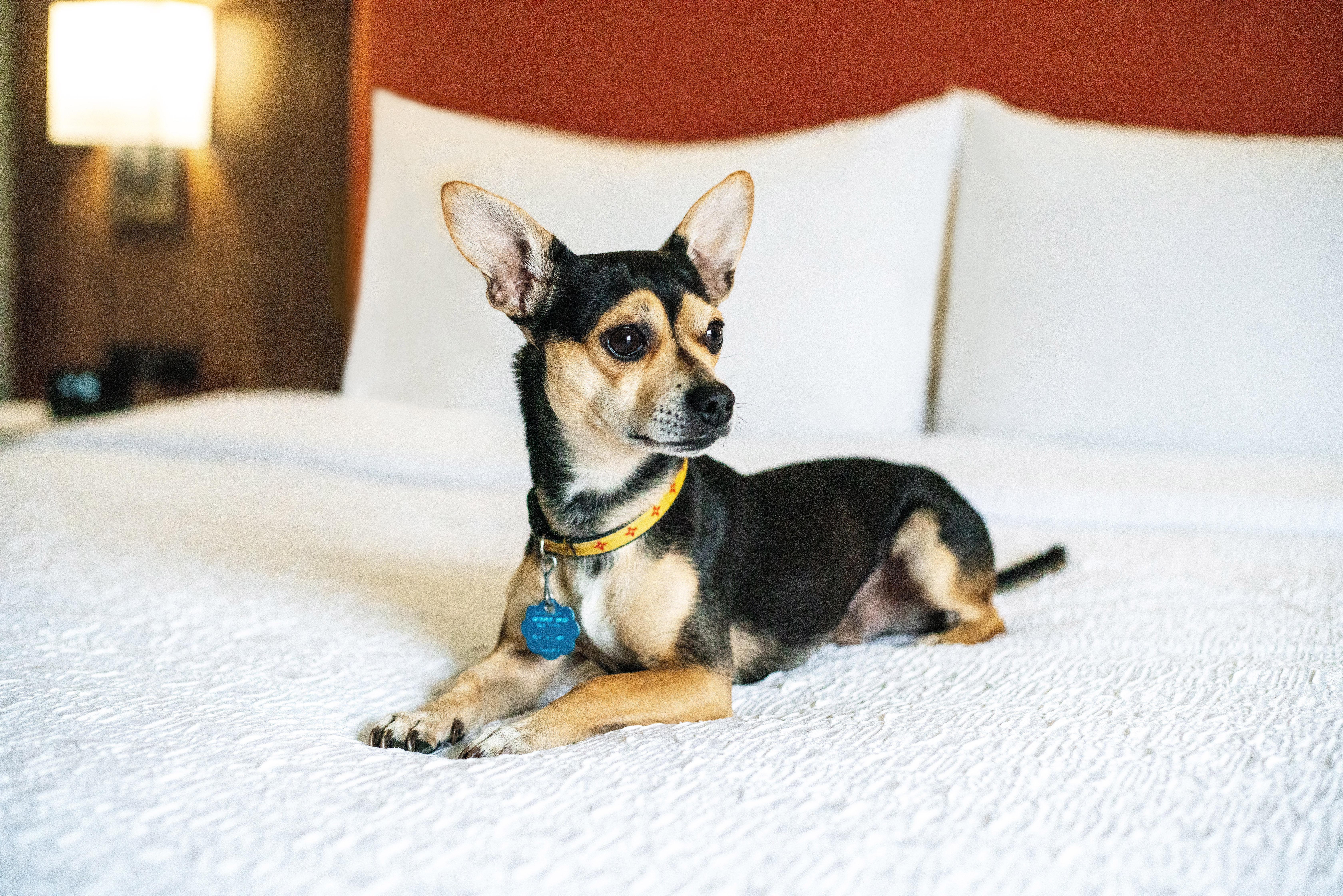 Hampton Inn Lexington South Zewnętrze zdjęcie